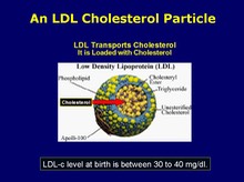 An LDL Particle