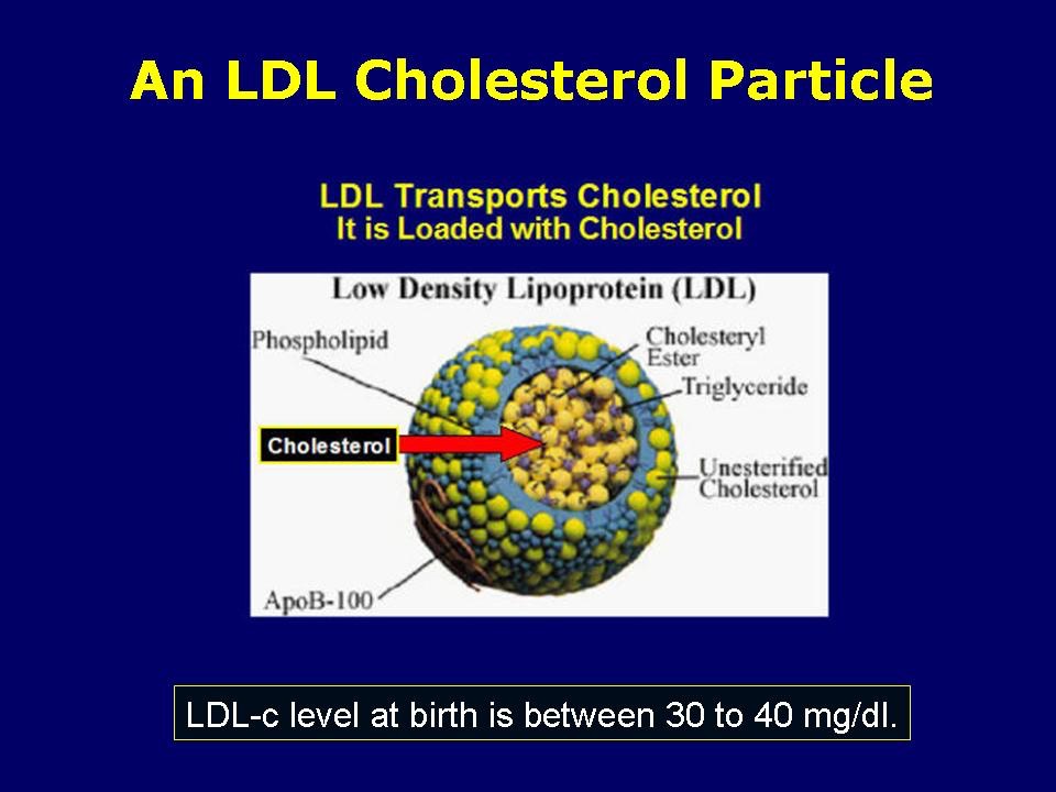An LDL Particle