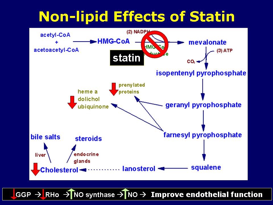 Non-lipid effects of statin